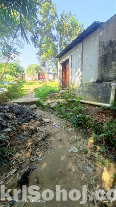 জমি ভাড়া দেওয়া হবে